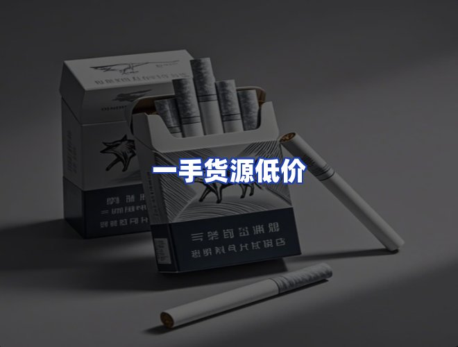 专业团队